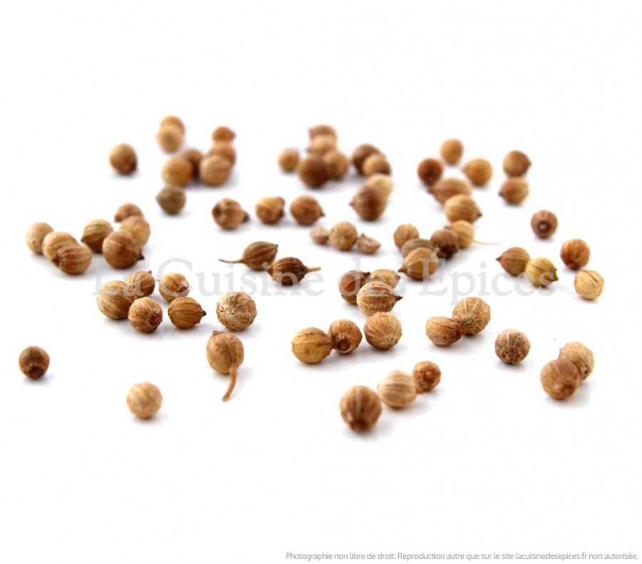Coriandre en graines - Épices et aromates/Épices entières - ginaepices